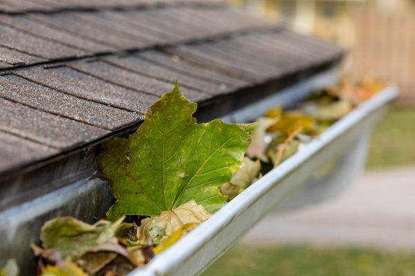 Commercial Downspout Cleaning in Tracy
