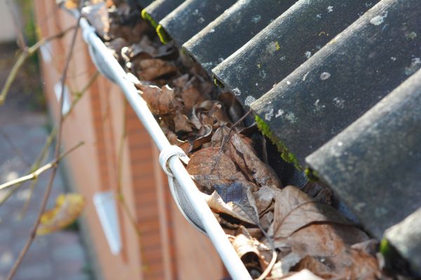 Home Gutter Cleaning in Tracy