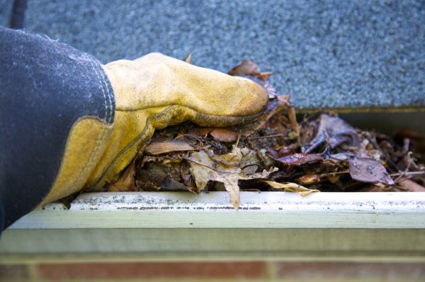 Jammed Gutter Cleaning in Tracy
