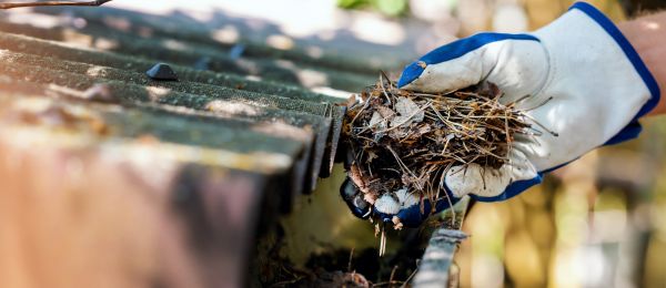 Pine Needle Gutter Cleaning in Tracy