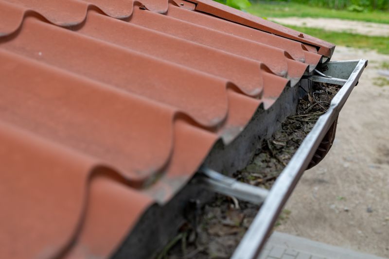 Commercial Gutter Maintenance detail