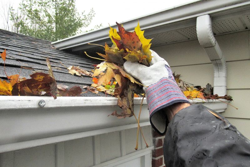 Gutter Cleaning in Action