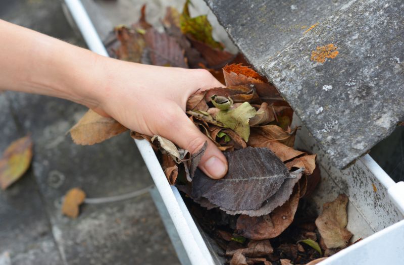 Gutter Leaves Removal